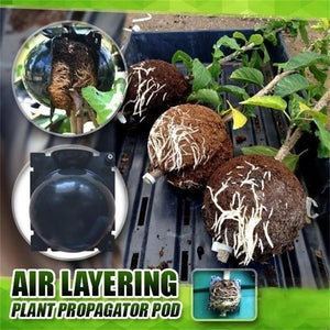 Plant Propagation Growing Box